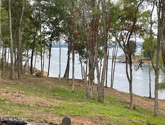 Lot 39 English Mountain Point, White Pine, TN 37890