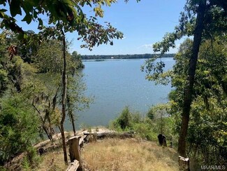 1 Prairie Bluff Dr, Catherine, AL 36728