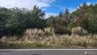 737 Ocean Shores Blvd SW, Ocean Shores, WA 98569