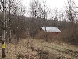 3282 Rock Run Rd, Canisteo, NY 14823