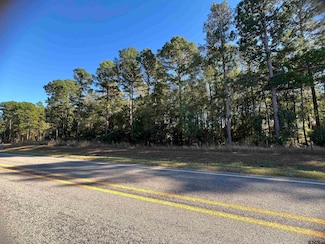 TBD County Road 3490, Hawkins, TX 75765