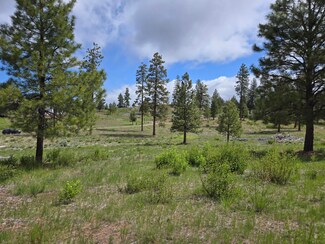 0 Ranch Rd Unit Lot 17 220202724, Chiloquin, OR 97624