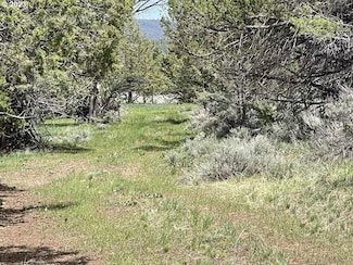 8500 National Forest Development Road 379, Bly, OR 97622