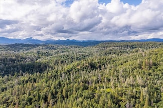 0 Donkey Mine Rd Unit 24029928, Oak Run, CA 96069