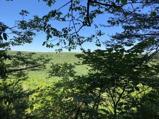 2108 Clifftops Ave, Monteagle, TN 37356