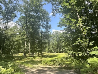3890 W Hammett Rd, Pentwater, MI 49449