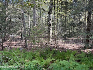 166 George Dr, Blakeslee, PA 18610