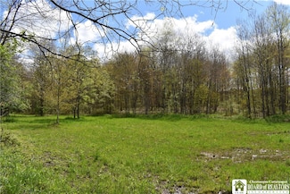 0 Earl Seaton Rd Unit R1590541, Napoli, NY 14772
