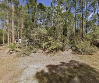104 Helen Ave, Georgetown, FL 32139