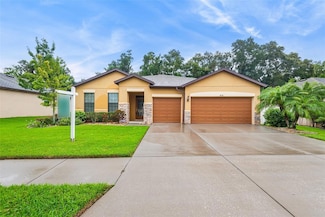 2236 Landside Dr, Valrico, FL 33594