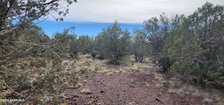 3500 N Stake Cir, Ash Fork, AZ 86320