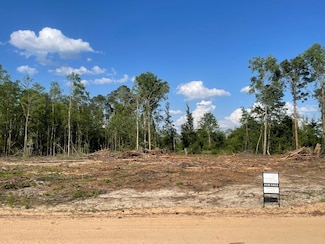 00 Sam Anderson Rd, Glennville, GA 30428