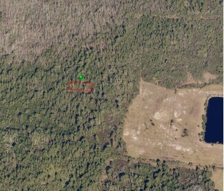 0 N Pine St Unit V4901735, Pierson, FL 32180