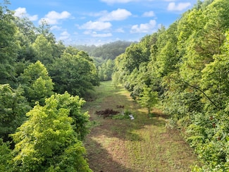 492 Sugar Camp Rd, Booneville, KY 41314