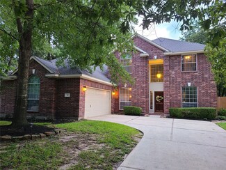 26 Hollow Glen Place, Conroe, TX 77385