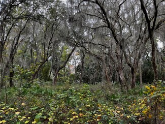 Lot 21 Doboy Ct, Darien, GA 31305