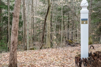 Lot 4 Peregrine Ridge Rd Unit Lot 4, Victor, WV 25938