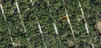 x Chicopee Rd, Crawfordville, FL 32327
