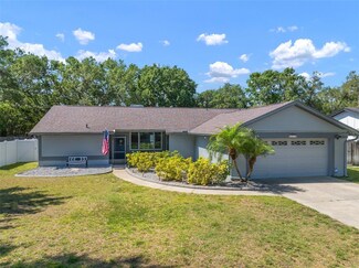 4710 Grainary Ave, Tampa, FL 33624