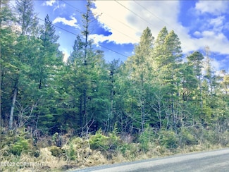 601 SE Fawn Dr, Coffman Cove, AK 99918