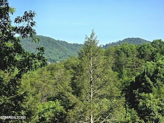 2011 Ridgecrest Loop Ln, Sevierville, TN 37876