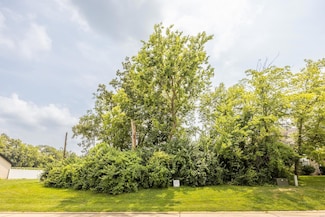 4906 Oak Falls Dr, Waterloo, IL 62298