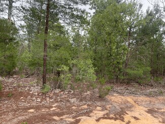 0 Gray St Unit F10525439, Interlachen, FL 32148