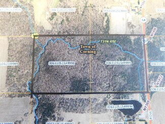 80 Acres Hwy 64, Merrill, WI 54452