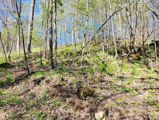 17.02 ac County Road P, Ontario, WI 54651