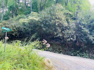 Lot 86 Granny Squirrel Dr, Andrews, NC 28901