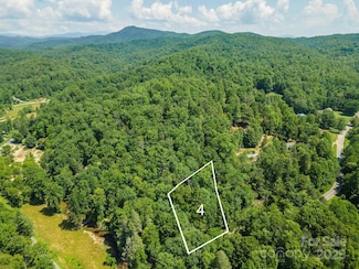 4 Roy Ln, Black Mountain, NC 28711