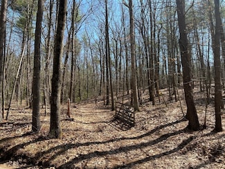 Lot 4, January Hills Rd, Shutesbury, MA 01072