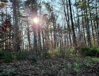 209-7 Center Harbor Neck Rd Unit 2, Center Harbor, NH 03226