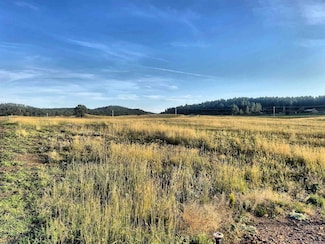Block 2 Lot 17 Stonehill Dr Unit TBD Stone Hill Subdi, Custer, SD 57730