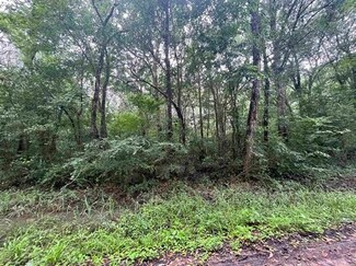 00 Cedar Ln, Saratoga, TX 77585