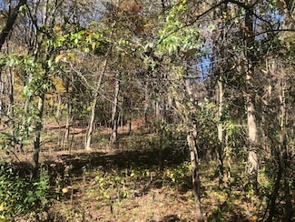 0 Valleyridge Dr Unit Lot 346, Howard Township, OH 43028