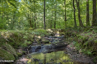 0 S Roane St, Harriman, TN 37748