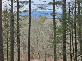 0 Mossy Hill Rd Unit 151615, Catskill, NY 12414