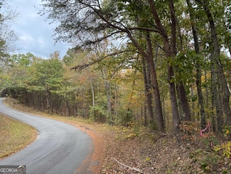 0 Cagle Rd NE Unit 10631091, Fairmount, GA 30139