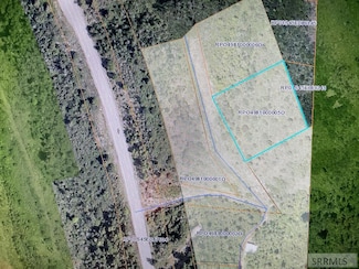 TBD Swan Valley Hwy, Irwin, ID 83428