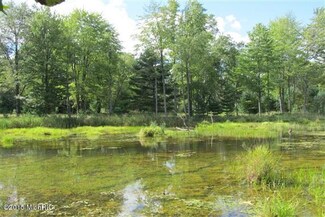 0 N Britt Rd Unit 15060685, Whittemore, MI 48770