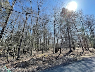B14HF Tanglewood Dr, Kidder Township, PA 18210
