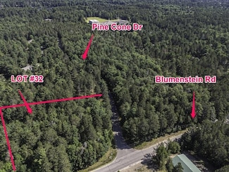 Lot 32 Pinecone Dr, Woodruff, WI 54568