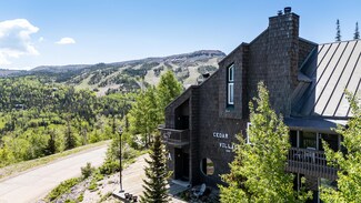 286 W Eagles Roost St, Brian Head, UT 84719