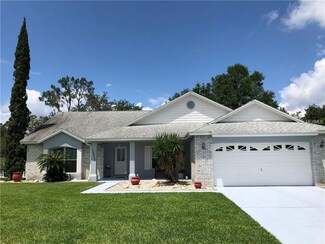 12953 Brown Bark Trail, Clermont, FL 34711