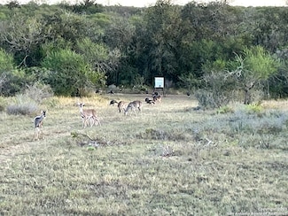 4582 Rockhill Rd, Kenedy, TX 78119