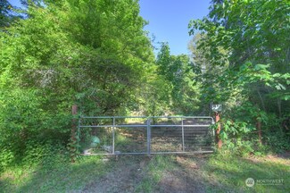 36205 78th Ave S, Roy, WA 98580