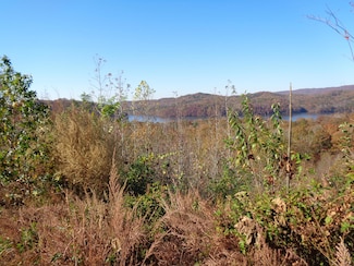 LOT 22 Twin Feathers Dr, Rockwood, TN 37854
