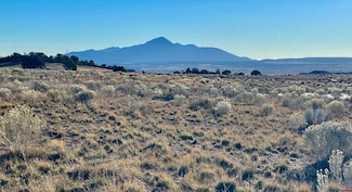 TBD Road 26 4 Lot 9, Dolores, CO 81328