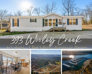 393 Wooly Creek Rd, Cape Fair, MO 65624